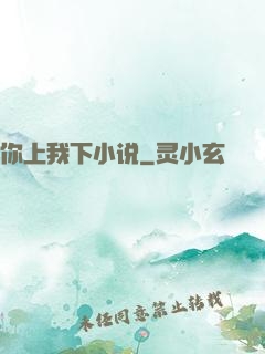 你上我下小说