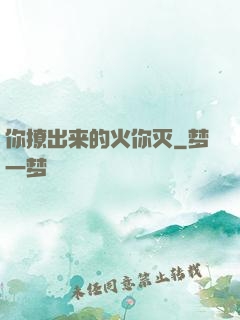 你撩出来的火你灭