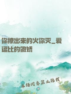 你撩出来的火你灭