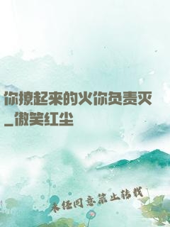 你撩起来的火你负责灭