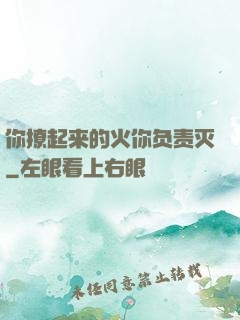 你撩起来的火你负责灭