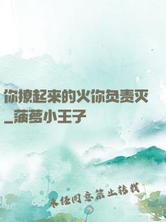 你撩起来的火你负责灭