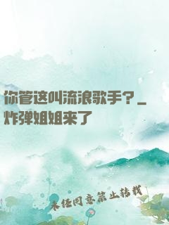 你管这叫流浪歌手？