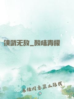 侠武无敌