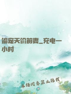 偏宠天价前妻