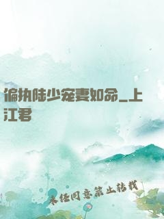 偏执陆少宠妻如命
