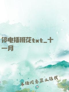 停电插班花txt