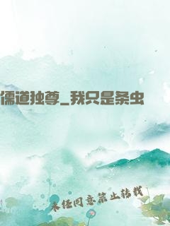 儒道独尊