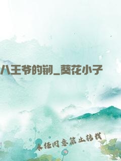 八王爷的锏