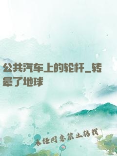 公共汽车上的轮杆
