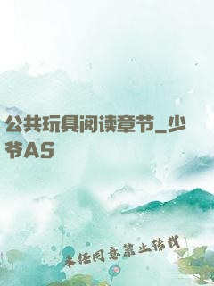 公共玩具阅读章节