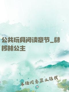 公共玩具阅读章节