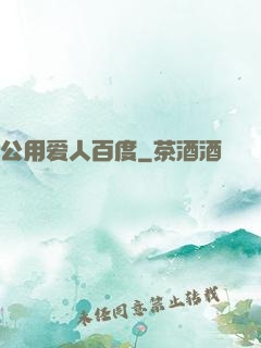 公用爱人百度