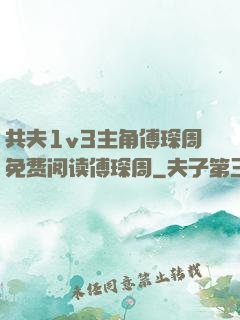 共夫1v3主角傅琛周免费阅读傅琛周
