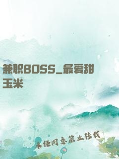 兼职BOSS