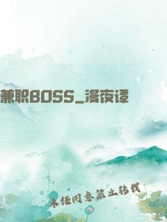兼职BOSS