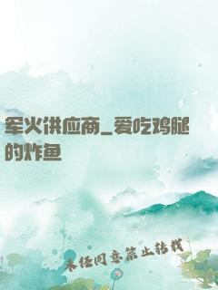 军火供应商