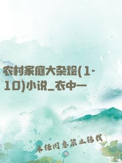 农村家庭大杂烩(1-10)小说