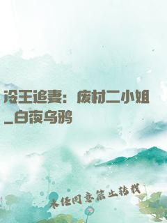 冷王追妻：废材二小姐
