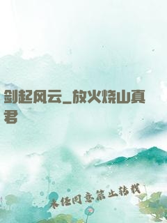 剑起风云