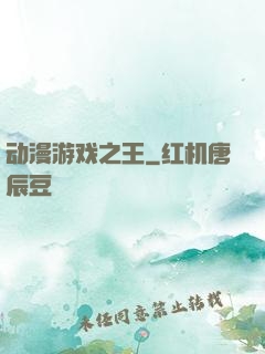 动漫游戏之王