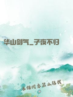 华山剑气