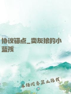 协议锚点