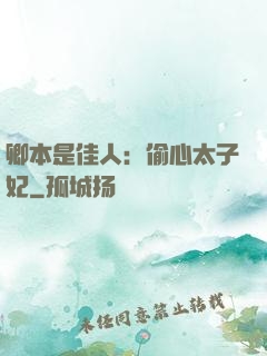 卿本是佳人：偷心太子妃