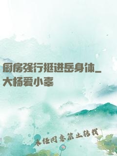 厨房强行挺进岳身体