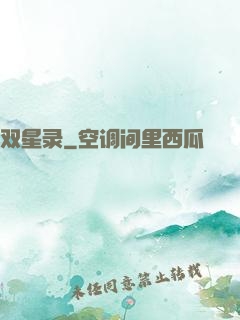 双星录