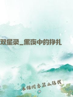 双星录