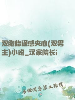 双胞胎通感夹心(双男主)小说