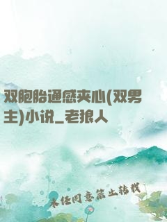 双胞胎通感夹心(双男主)小说