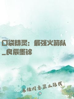 口袋精灵：最强火箭队
