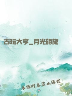 古玩大亨