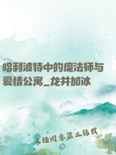 哈利波特中的魔法师与爱情公寓