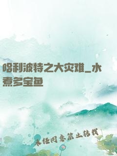 哈利波特之大灾难