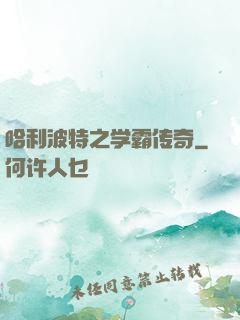 哈利波特之学霸传奇
