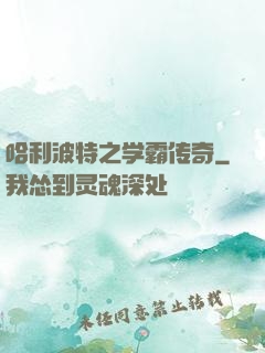 哈利波特之学霸传奇