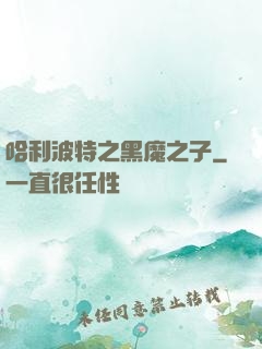 哈利波特之黑魔之子