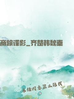 商踪谍影