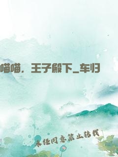 喵喵，王子殿下