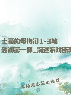 土豪的母狗们1-3笔趣阁第一部