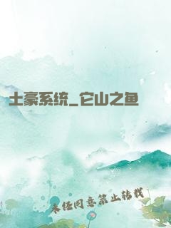 土豪系统