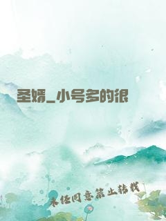 圣婿
