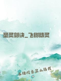 圣灵剑诀