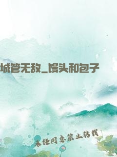 城管无敌