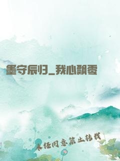 墨守辰归