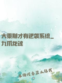 大乘期才有逆袭系统