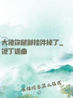 大佬你腿部挂件掉了